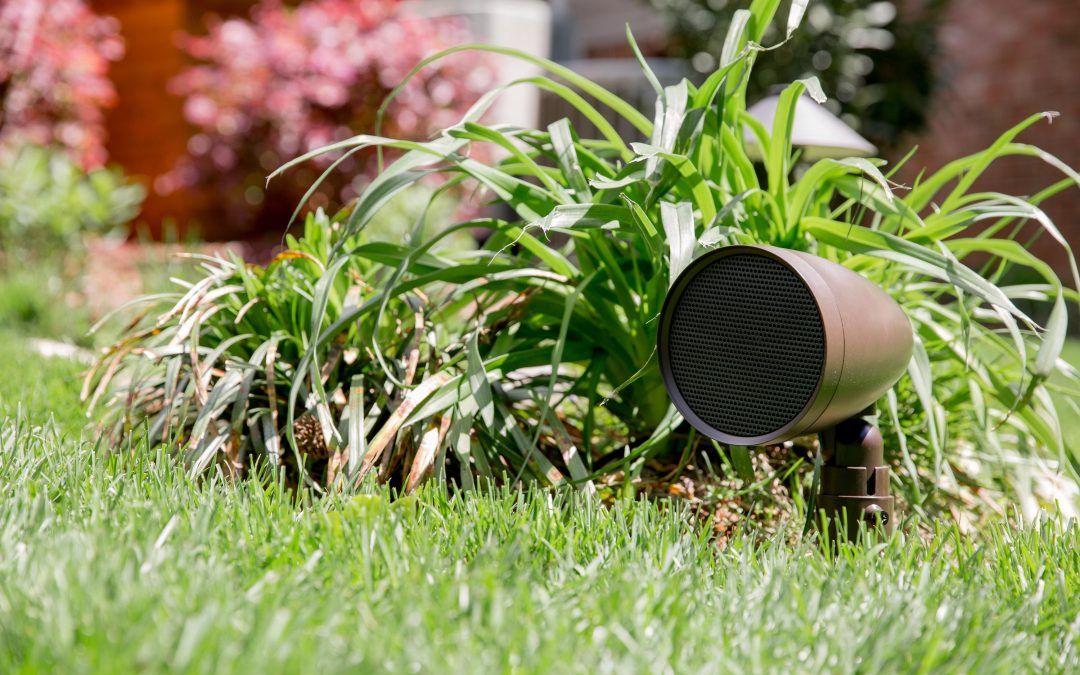 Bring Your Garden to Life: How High-Quality Landscape Music Elevates Outdoor Living